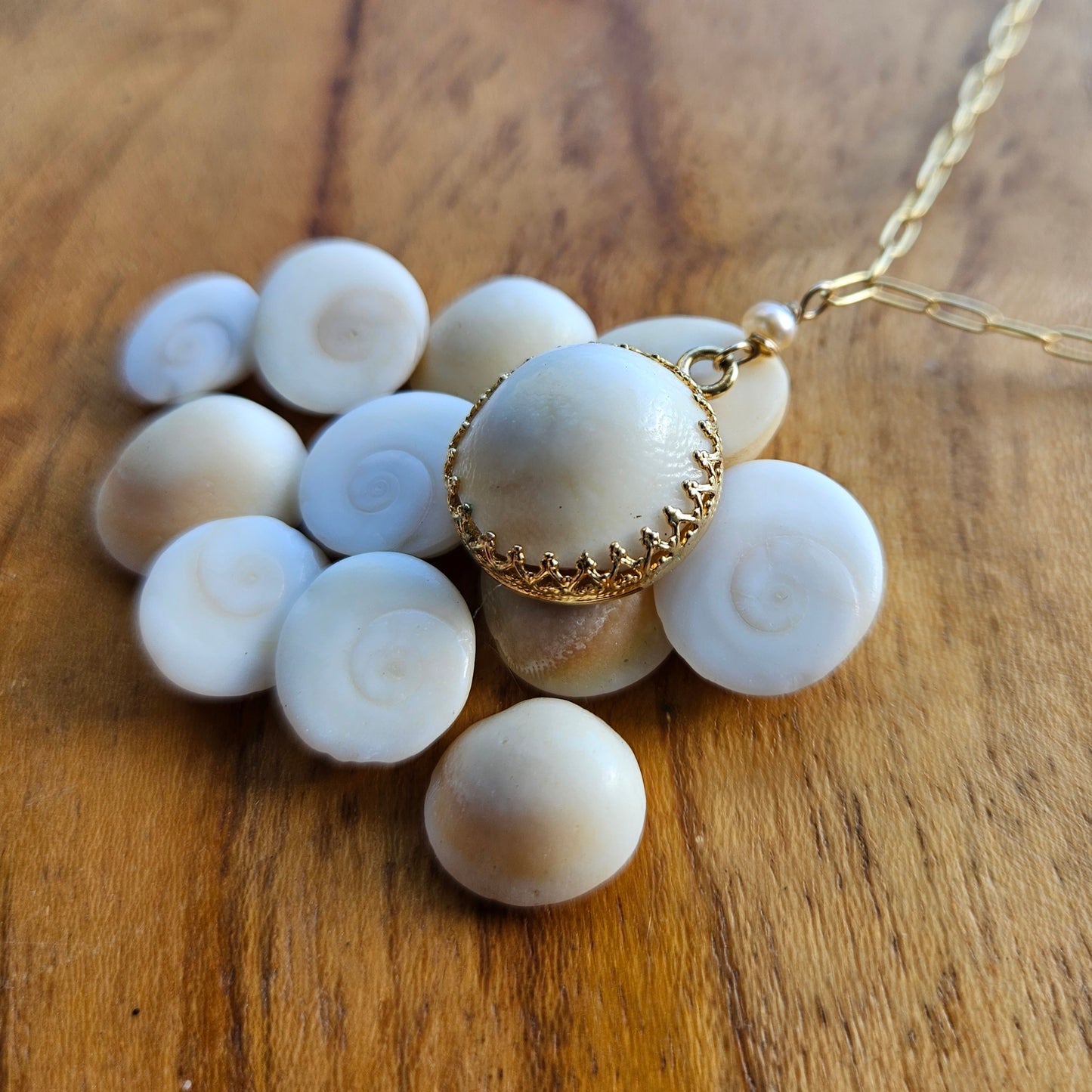 Shiva Shell Necklace