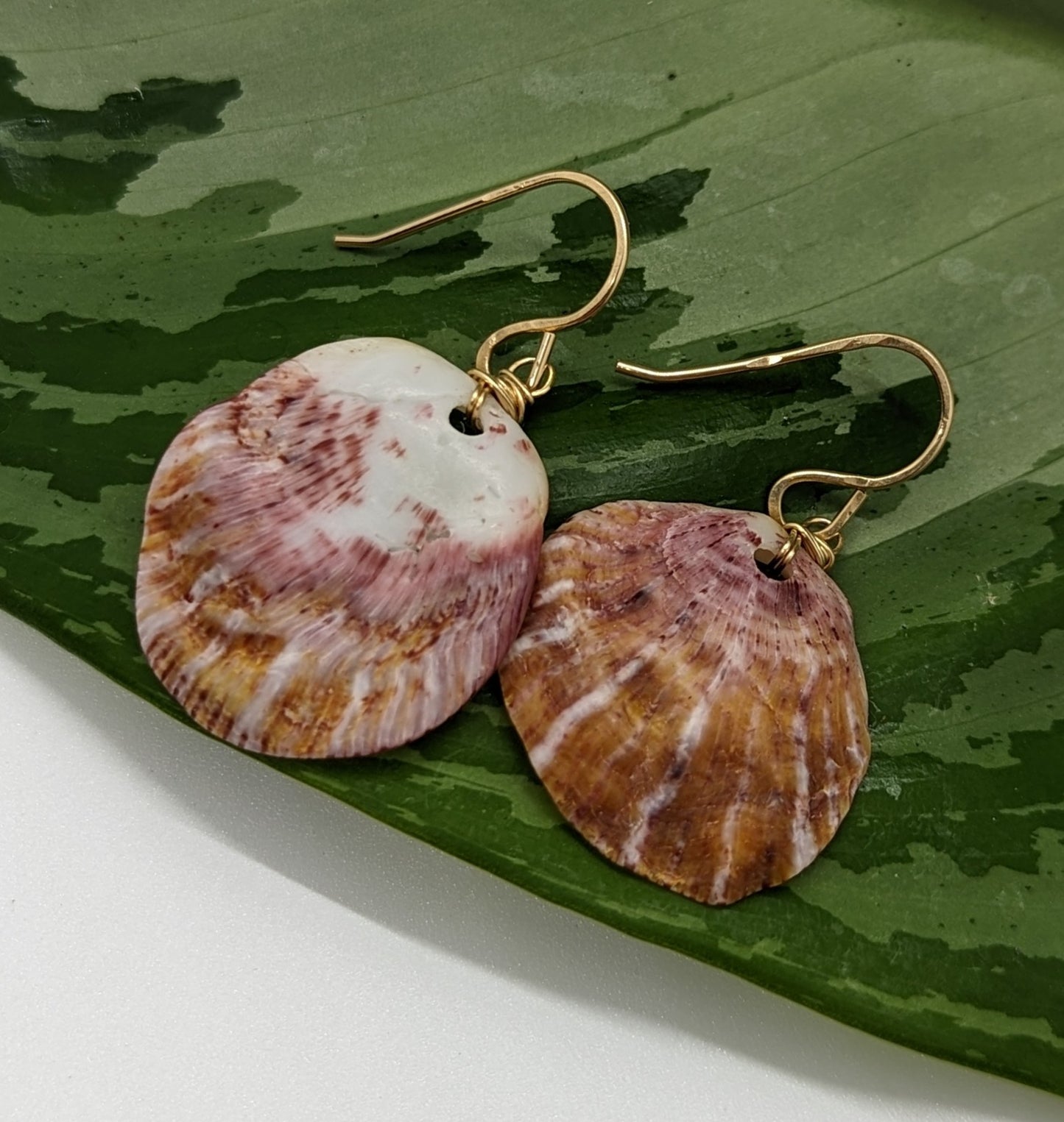 Spondylus Shell Earrings
