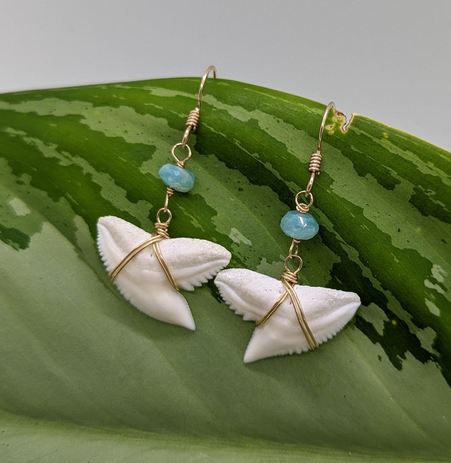 Tiger Shark Teeth Earrings