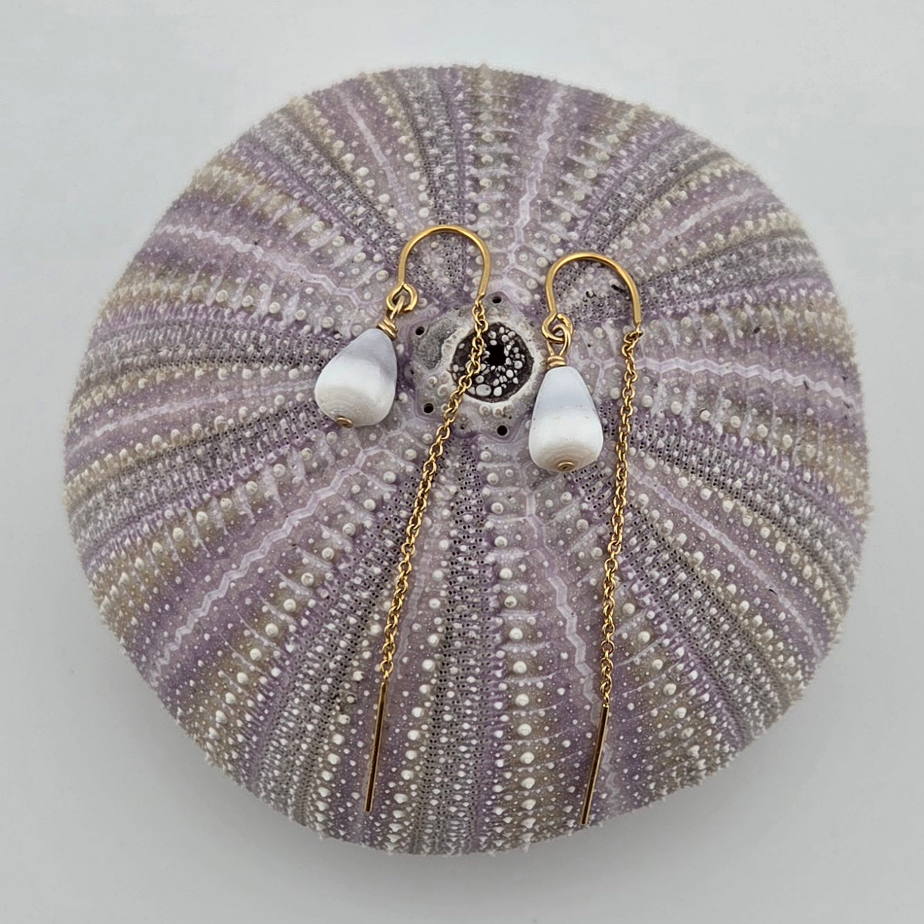 Tiny Hawaiian Cone Shell Earrings