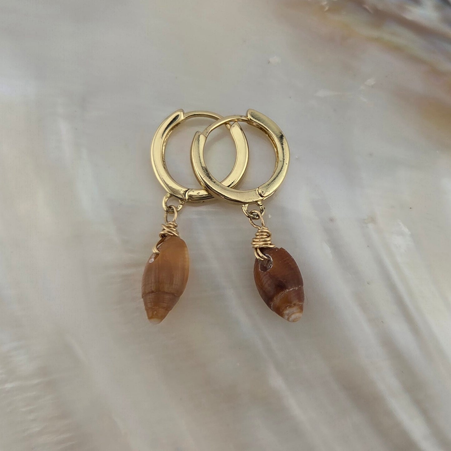 Brown Miter Shell Earrings