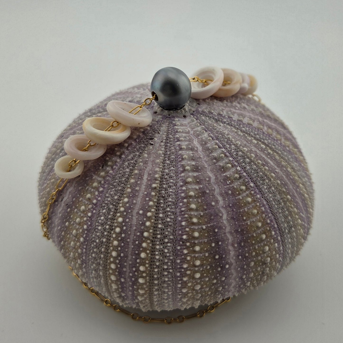 Tahitian Pearl Necklace with Hawaiian Puka Shells