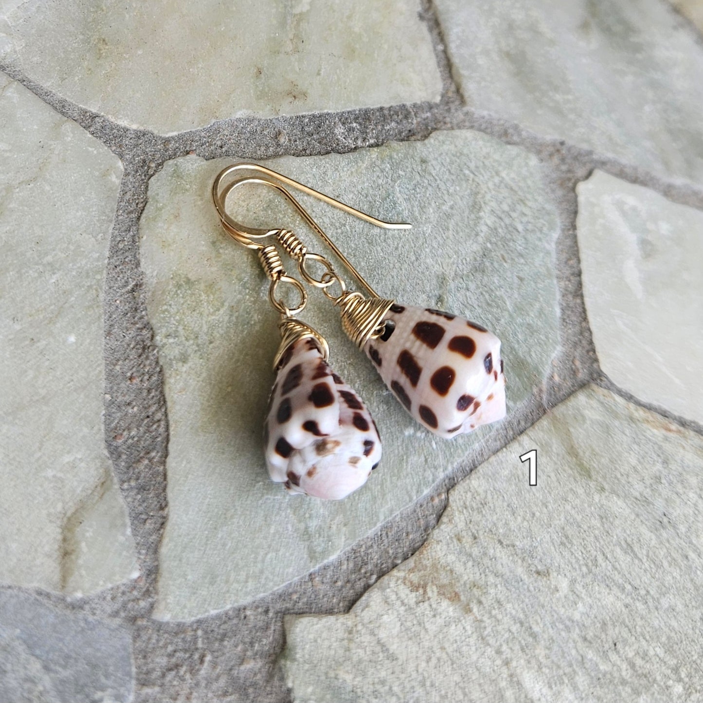 Dainty Hebrew Cone Shell Earrings