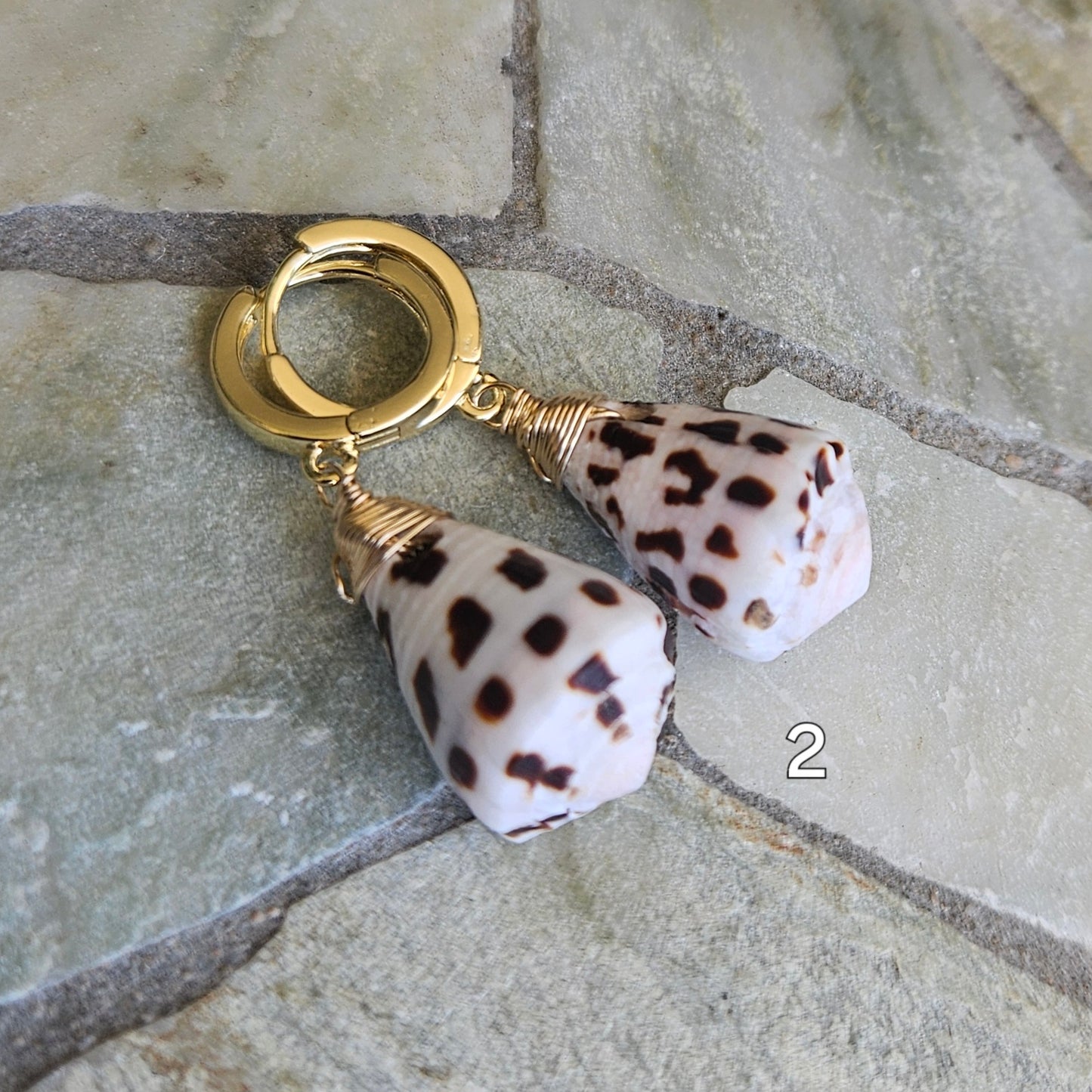 Hebrew Cone Shell Earrings