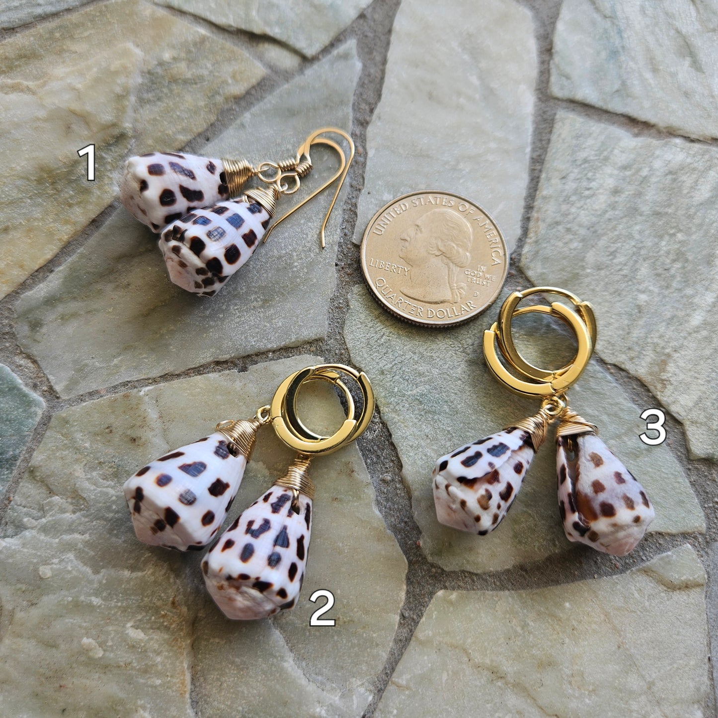 Hebrew Cone Shell Earrings