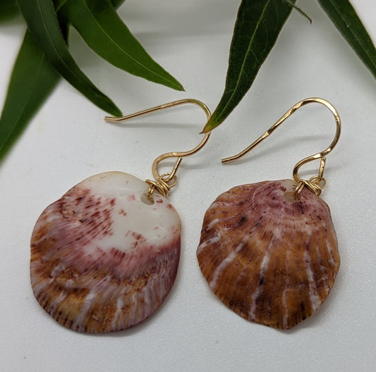 Spondylus Shell Earrings