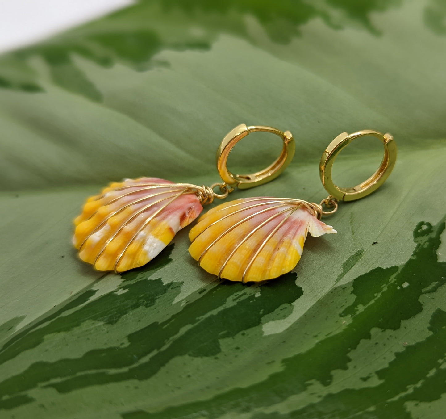 Sunrise Shell Earrings