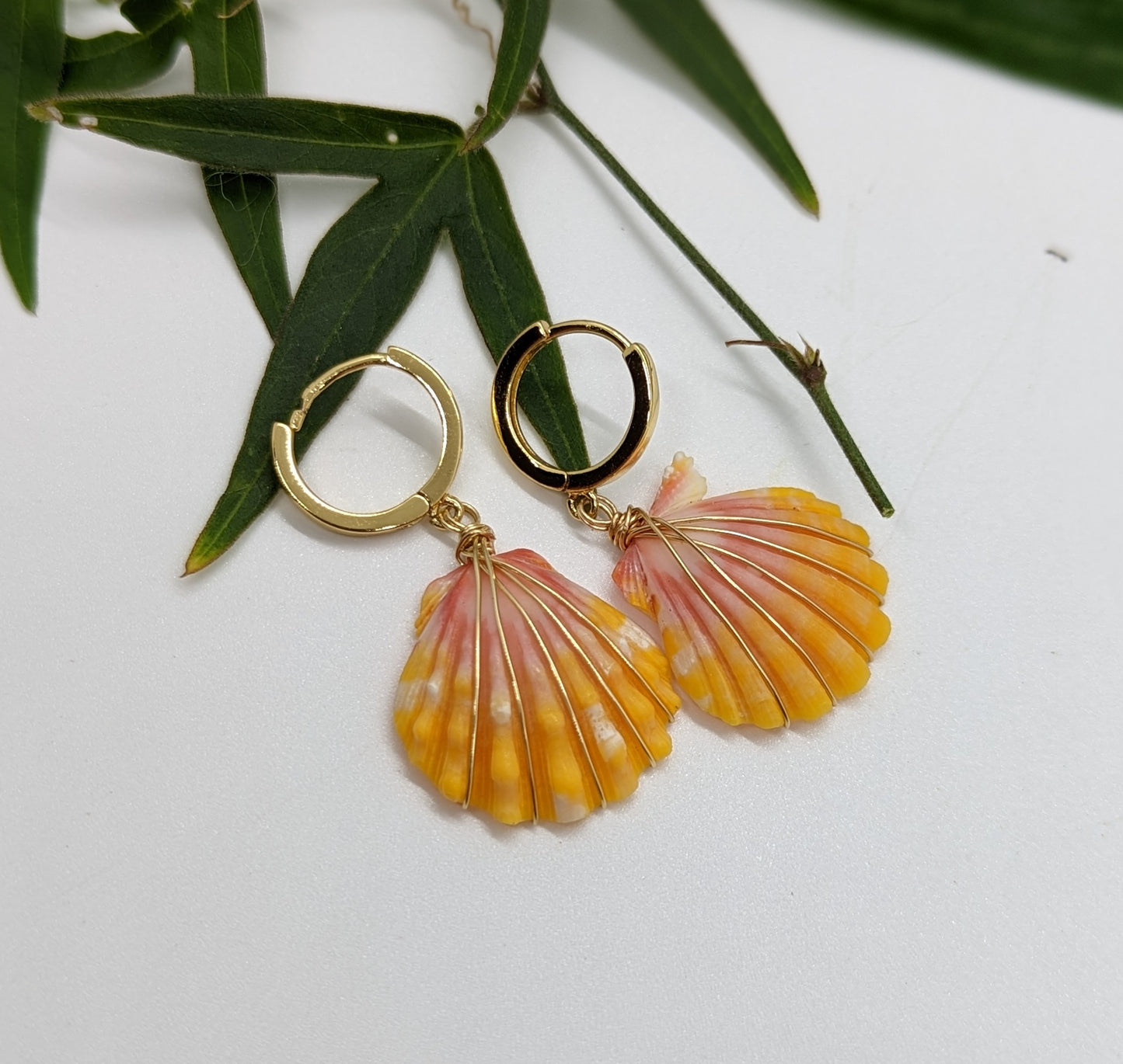 Sunrise Shell Earrings