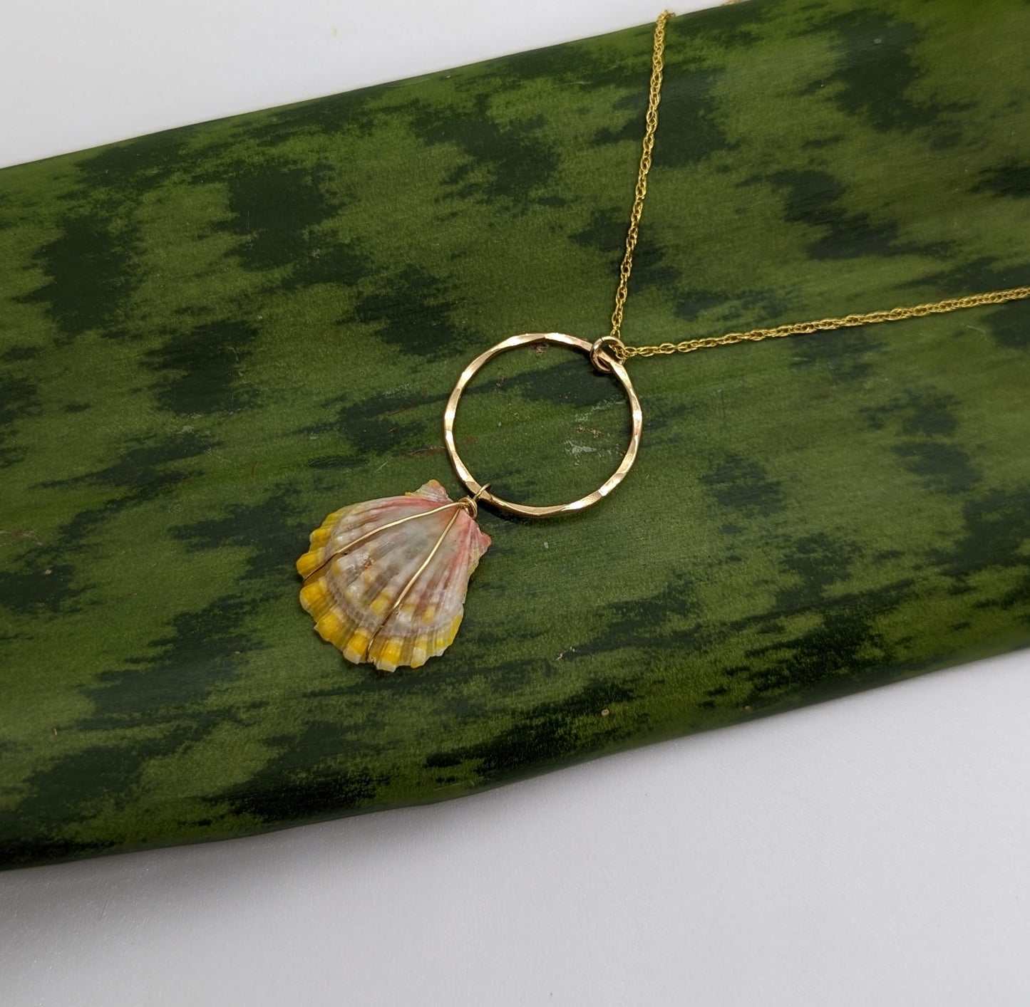 Sunrise Shell Necklace with Hoop