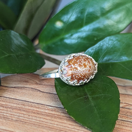 Honey Cowrie Ring