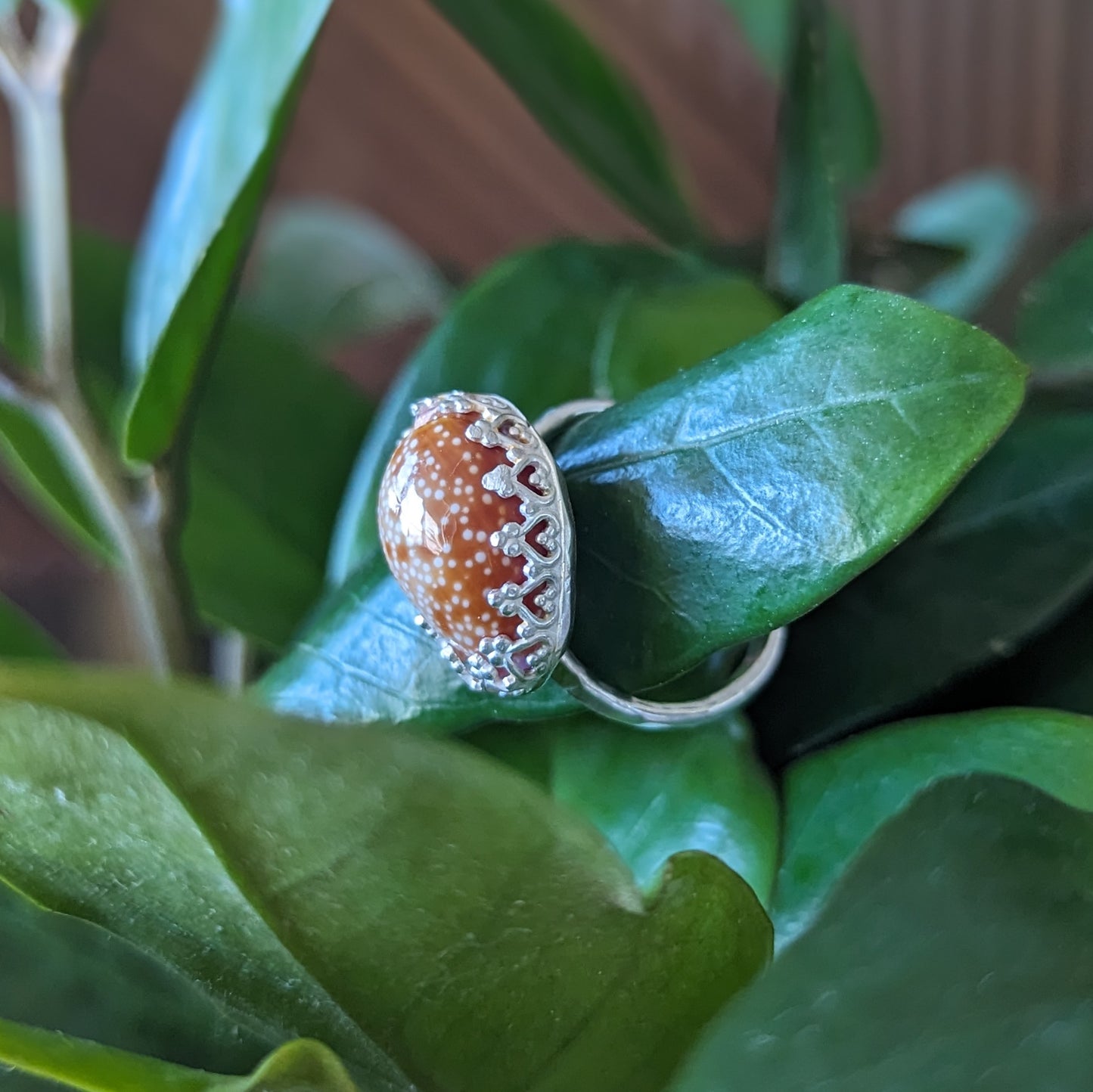 Honey Cowrie Ring