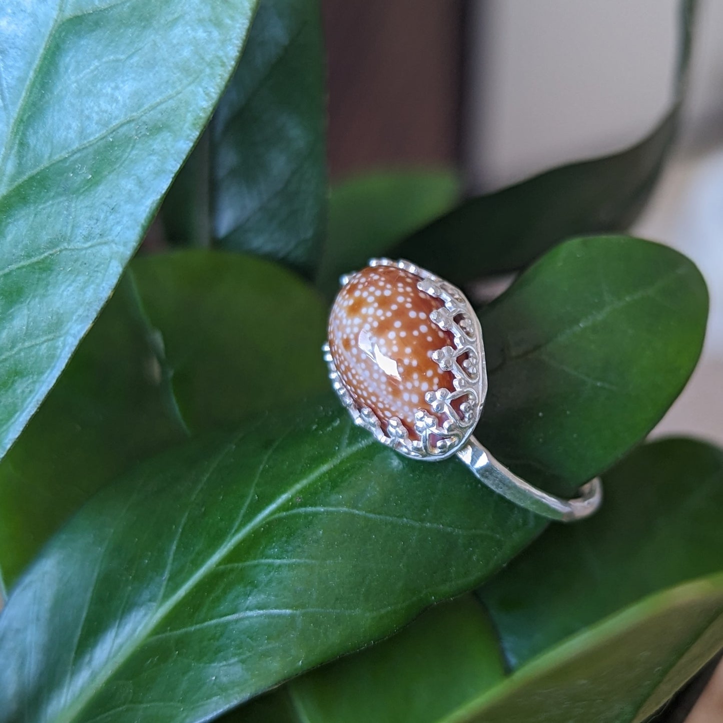 Honey Cowrie Ring