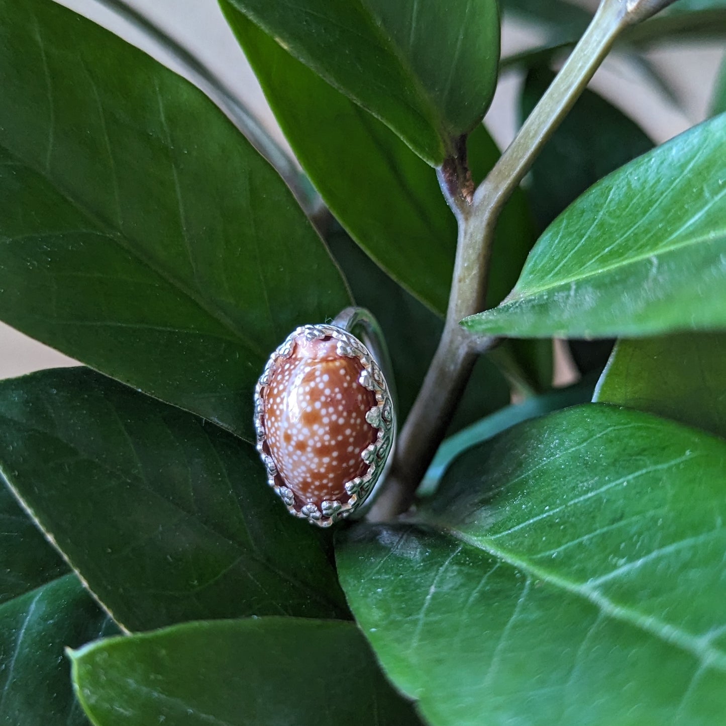 Honey Cowrie Ring