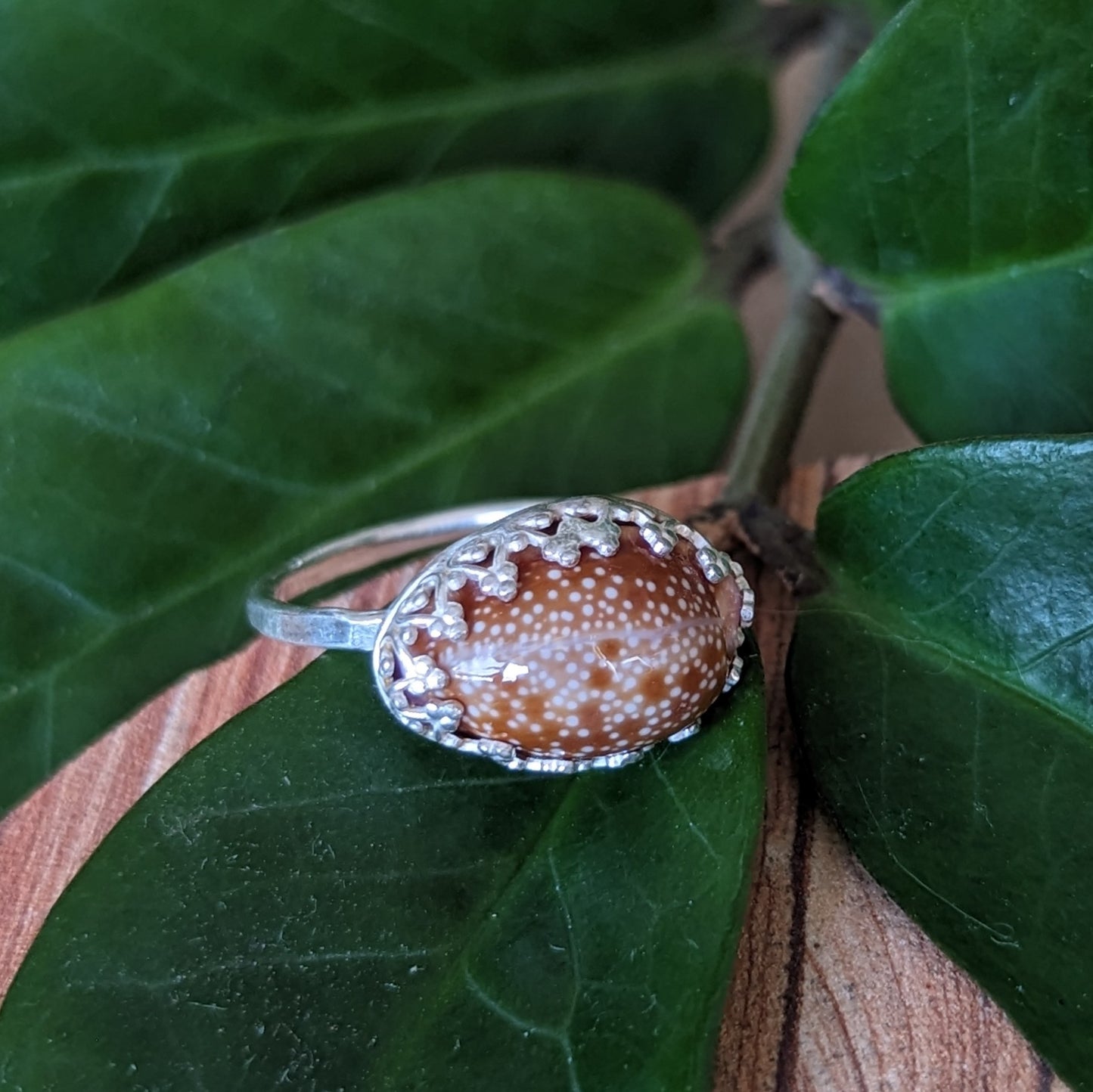 Honey Cowrie Ring