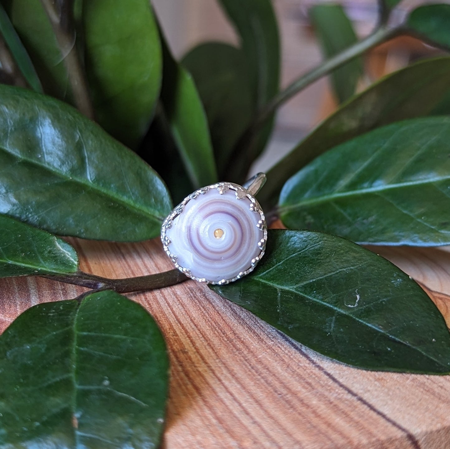 Purple Puka Ring