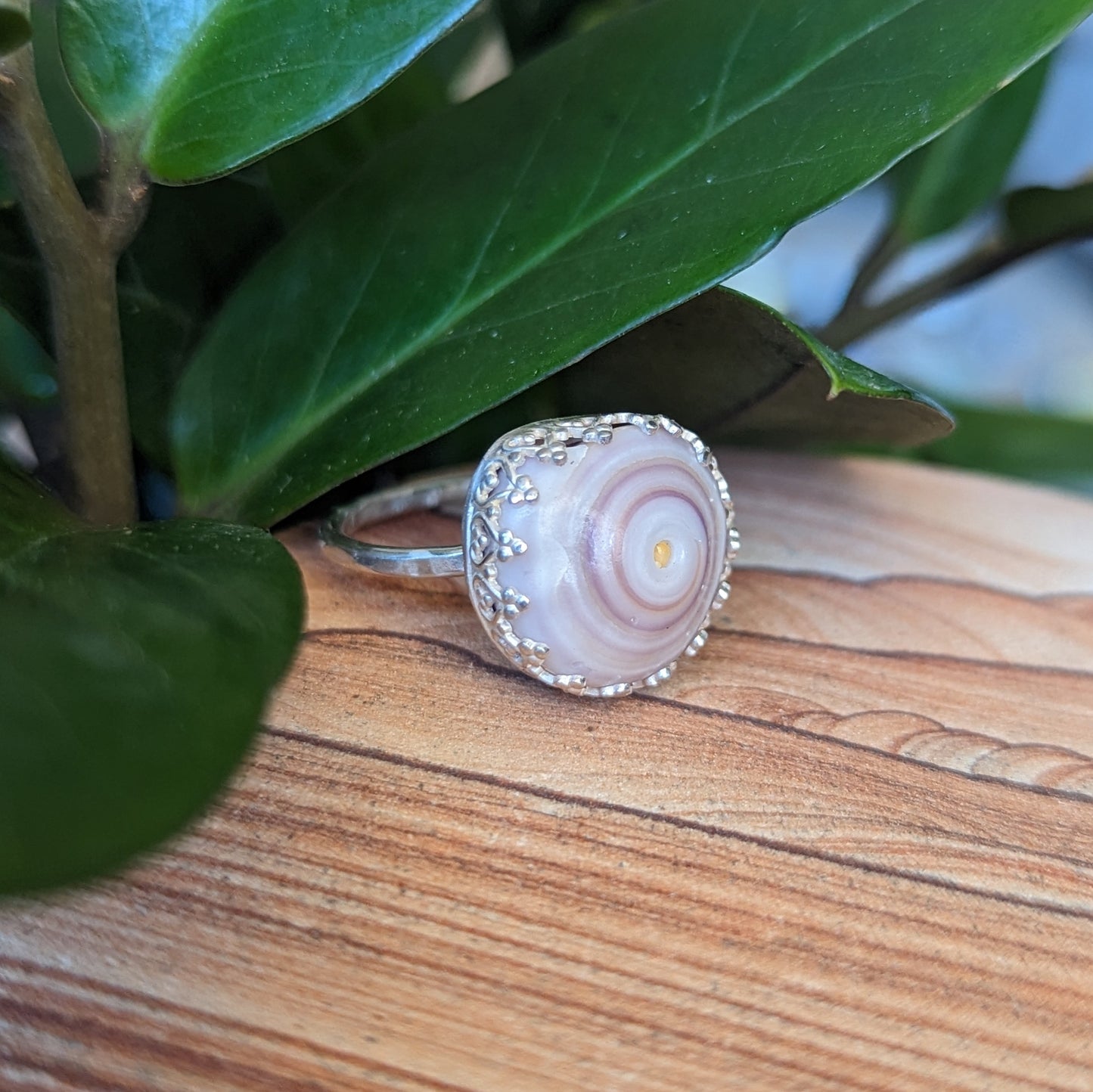 Purple Puka Ring