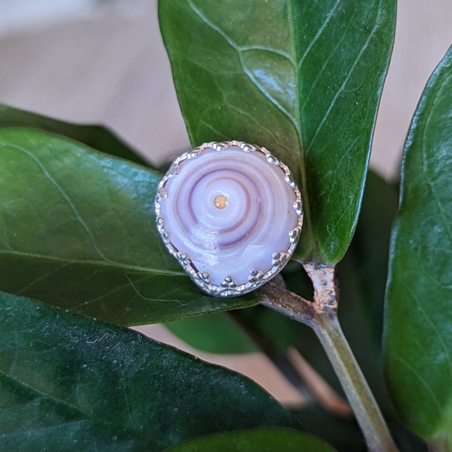 Purple Puka Ring