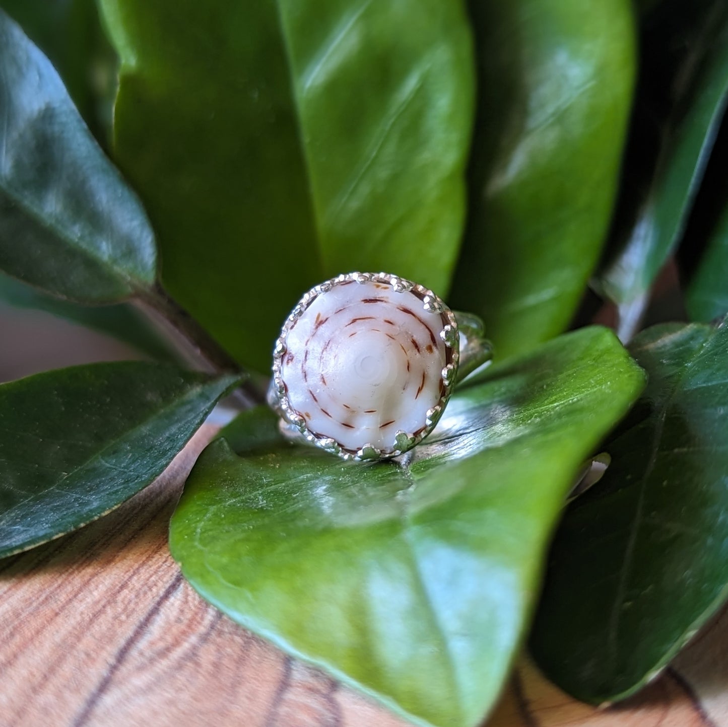 White & Brown Swirl Puka Ring