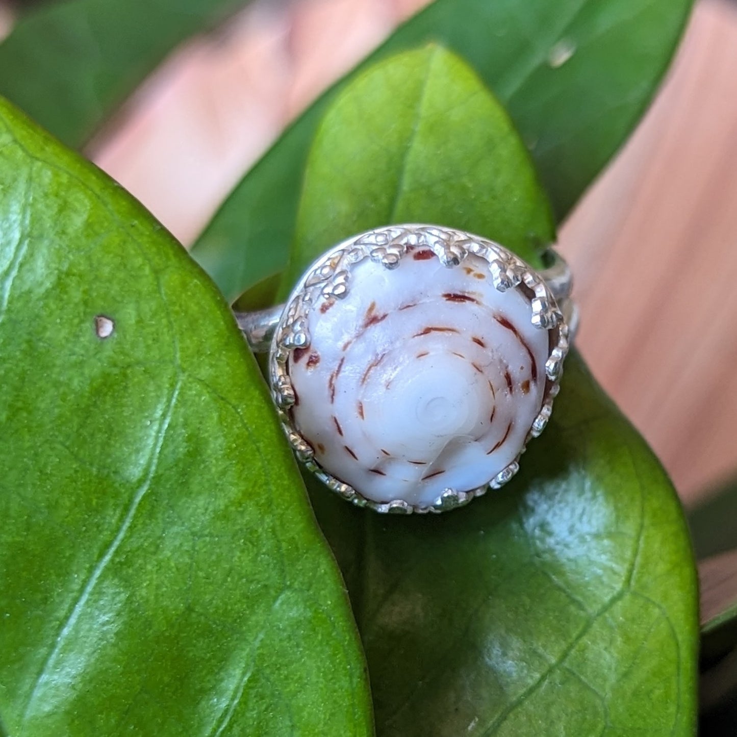 White & Brown Swirl Puka Ring