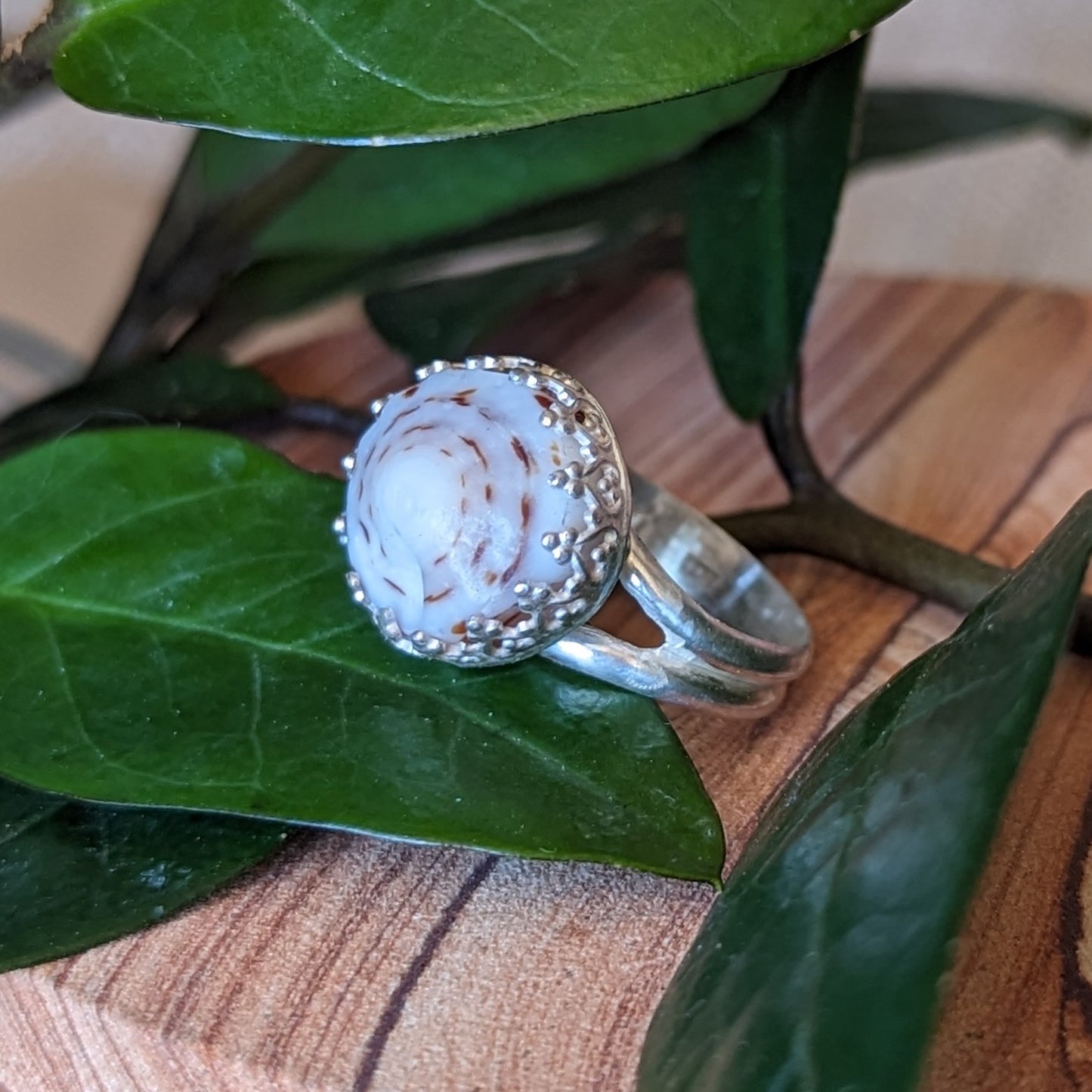 White & Brown Swirl Puka Ring