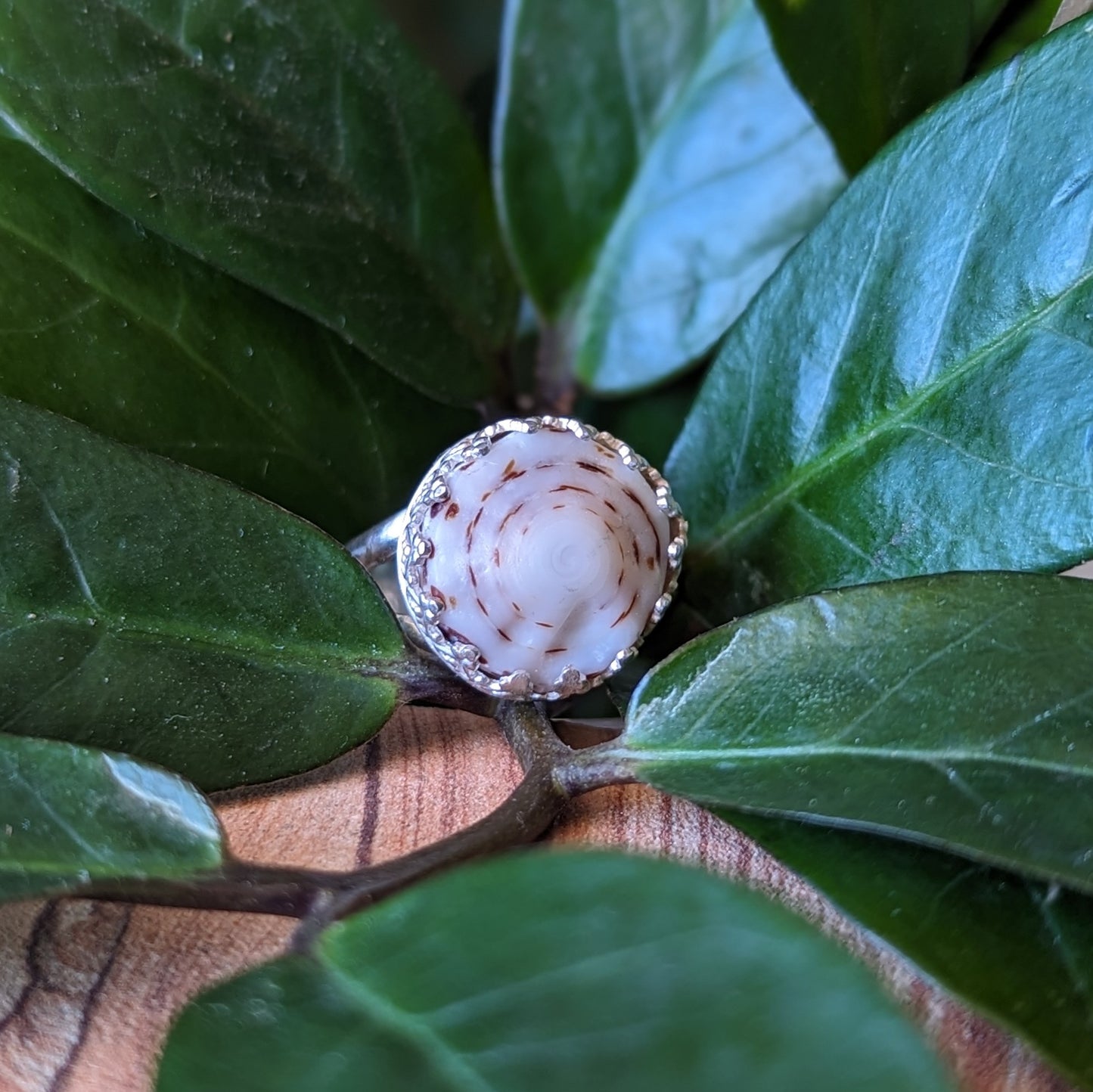 White & Brown Swirl Puka Ring