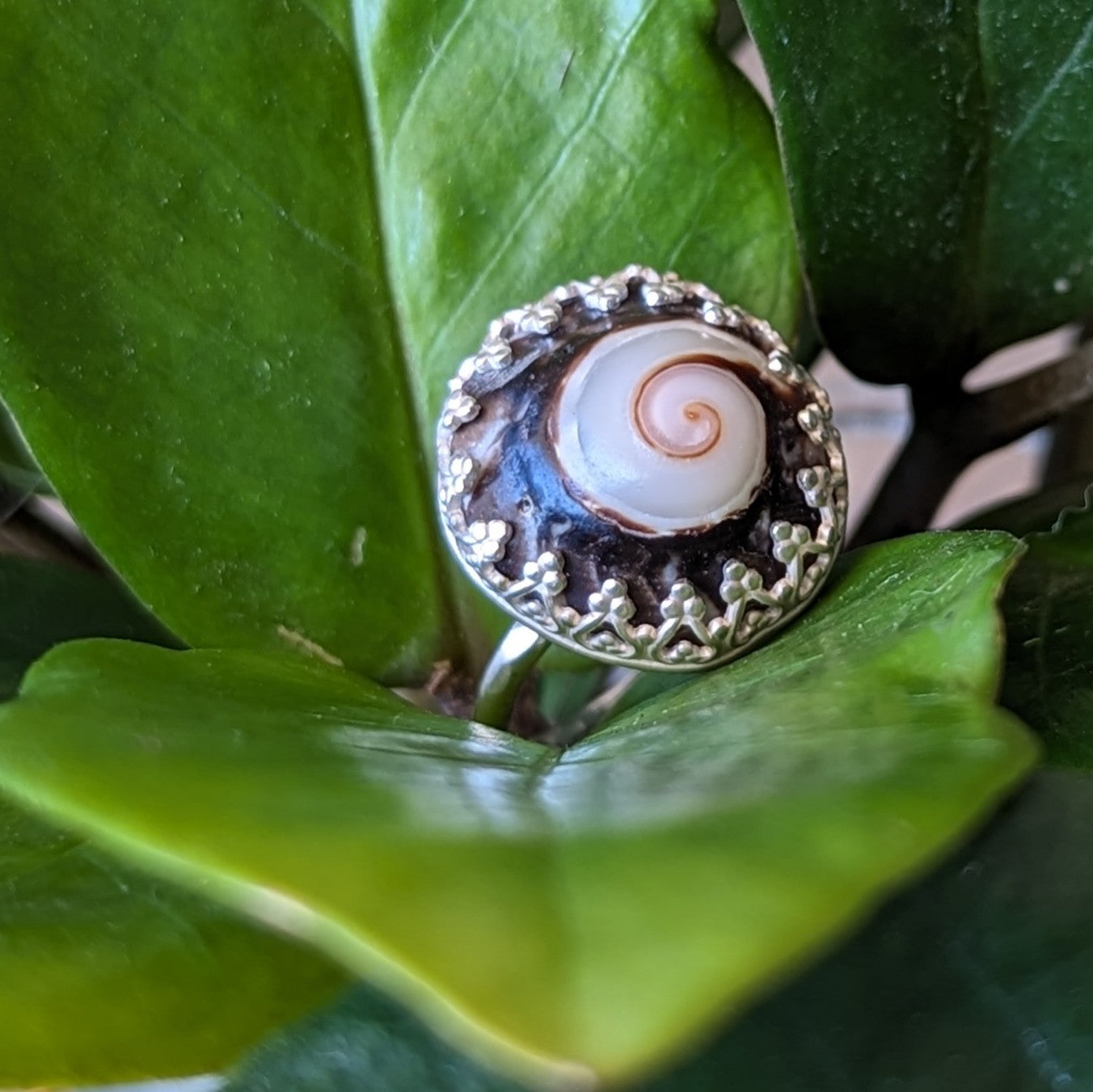 Swirl Fragment Ring