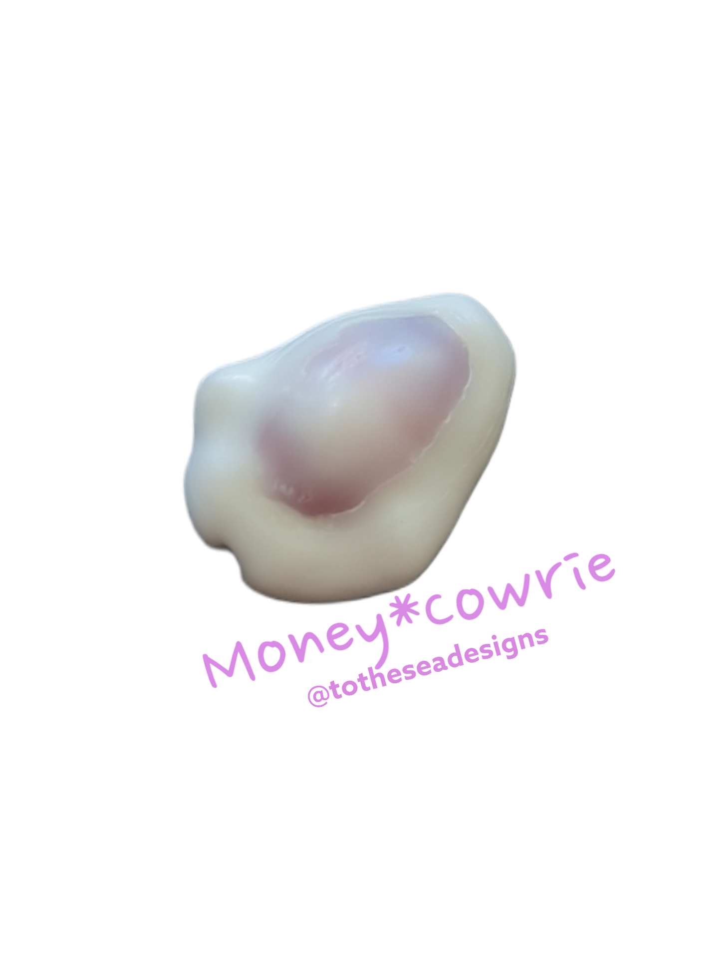 Money Cowrie Sticker