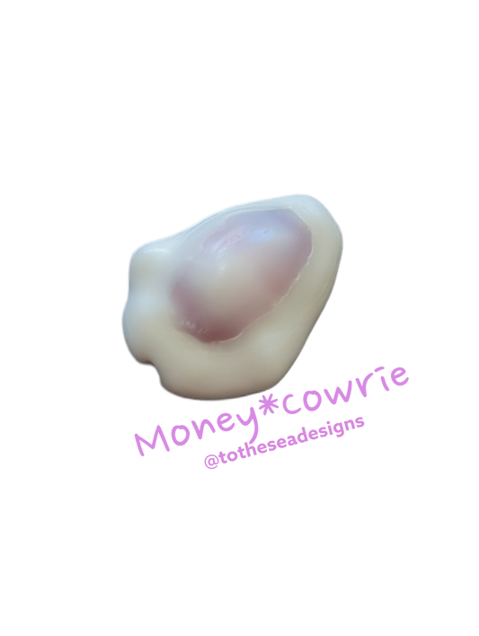 Money Cowrie Sticker