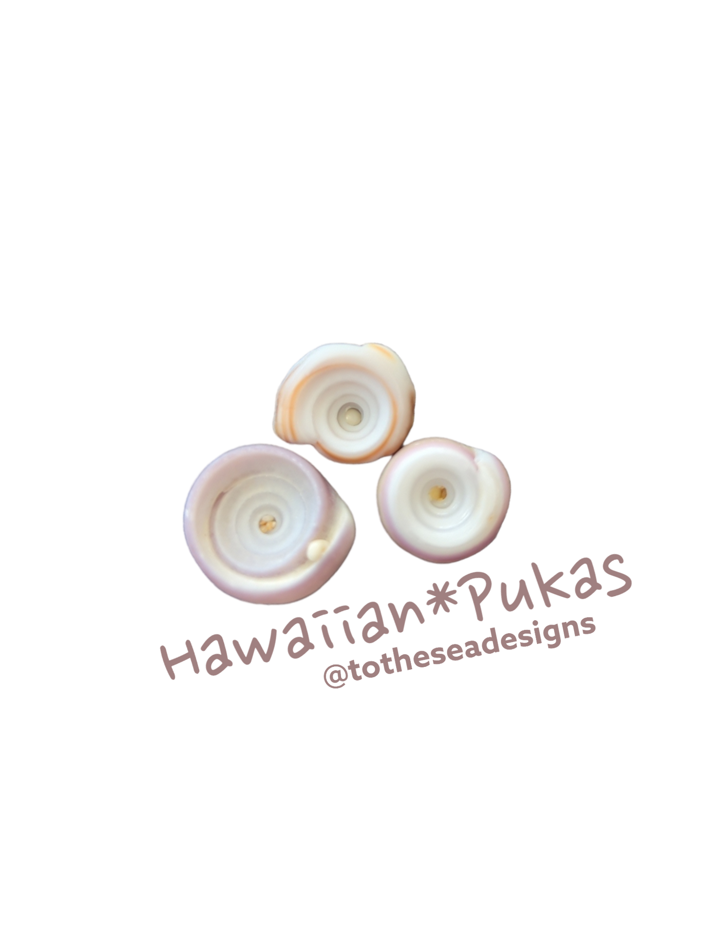 Puka Shell Sticker