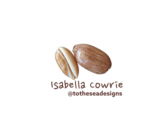 Isabella Cowrie Shell Sticker