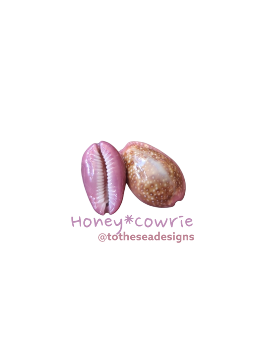 Honey Cowrie Sticker