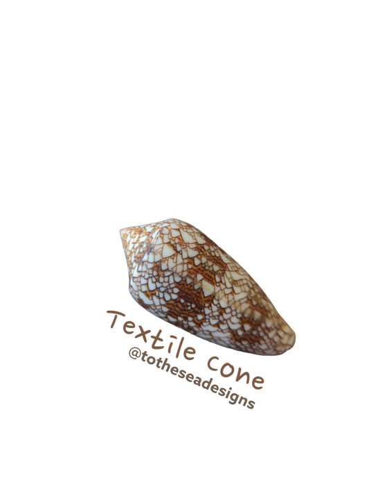 Textile Cone Shell Sticker