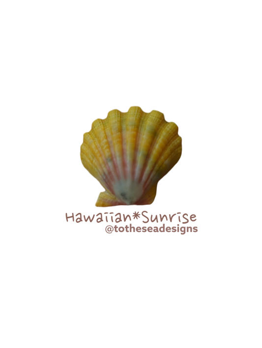 Sunrise Shell Sticker