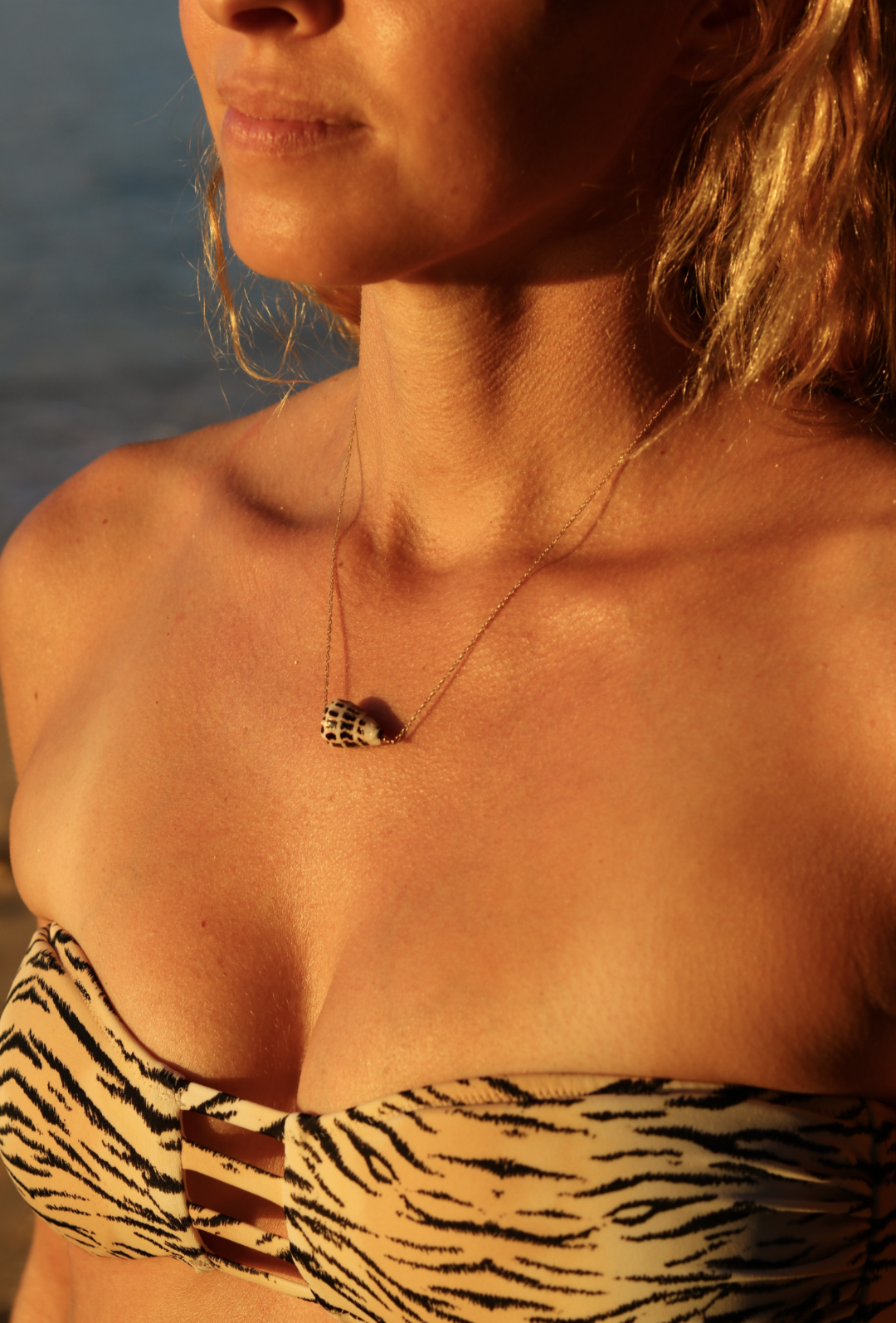 Hebrew Cone Shell Necklace