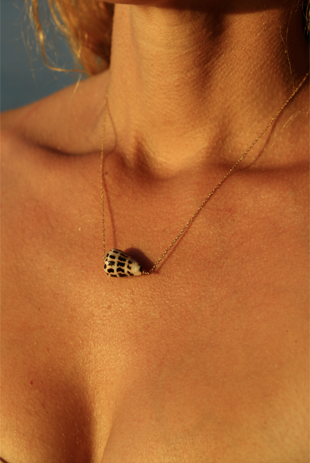 Hebrew Cone Shell Necklace