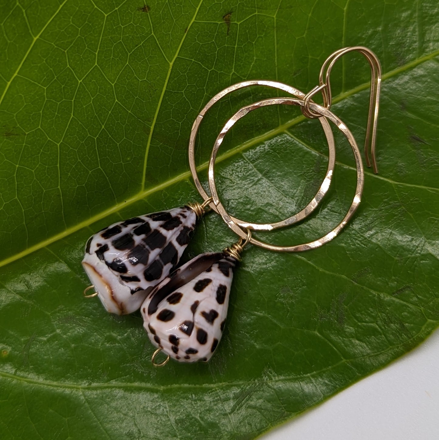 Hebrew Cone Shell Earrings