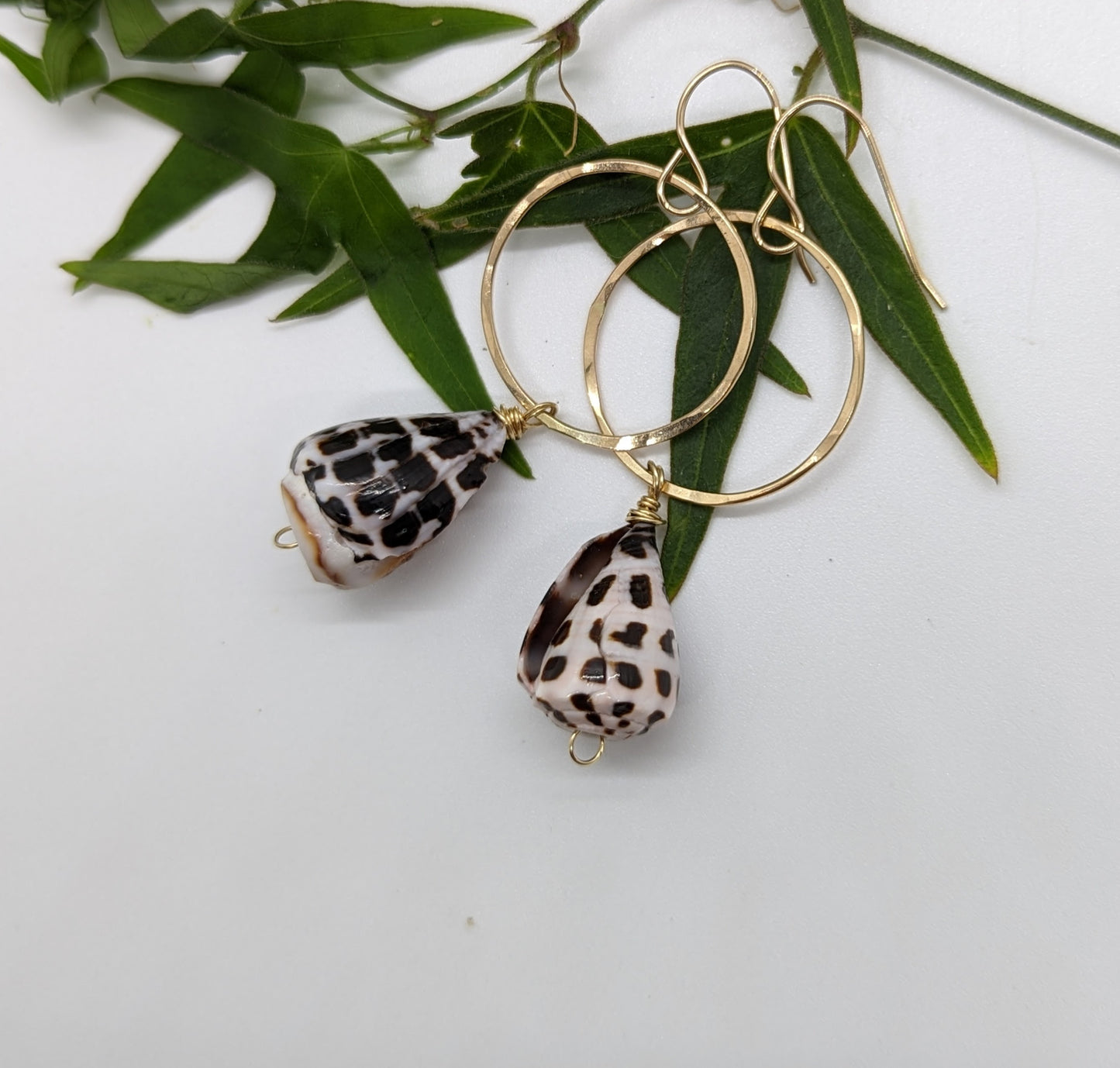 Hebrew Cone Shell Earrings