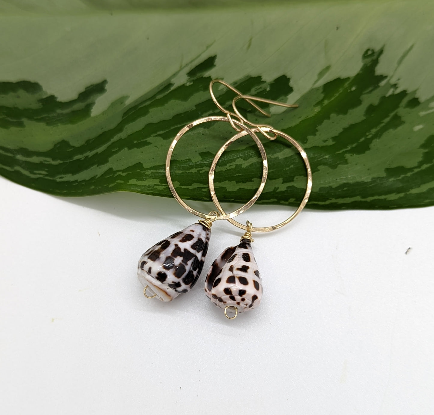 Hebrew Cone Shell Earrings