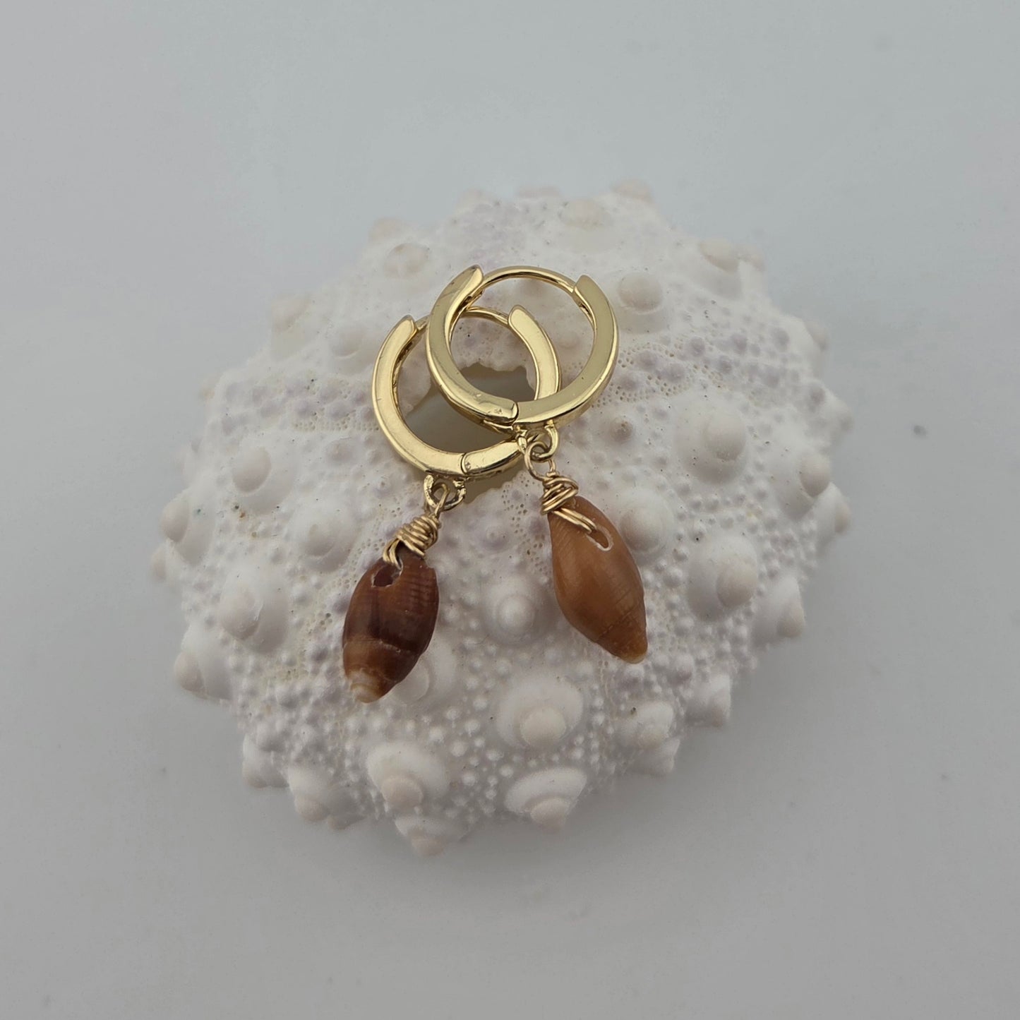 Brown Miter Shell Earrings