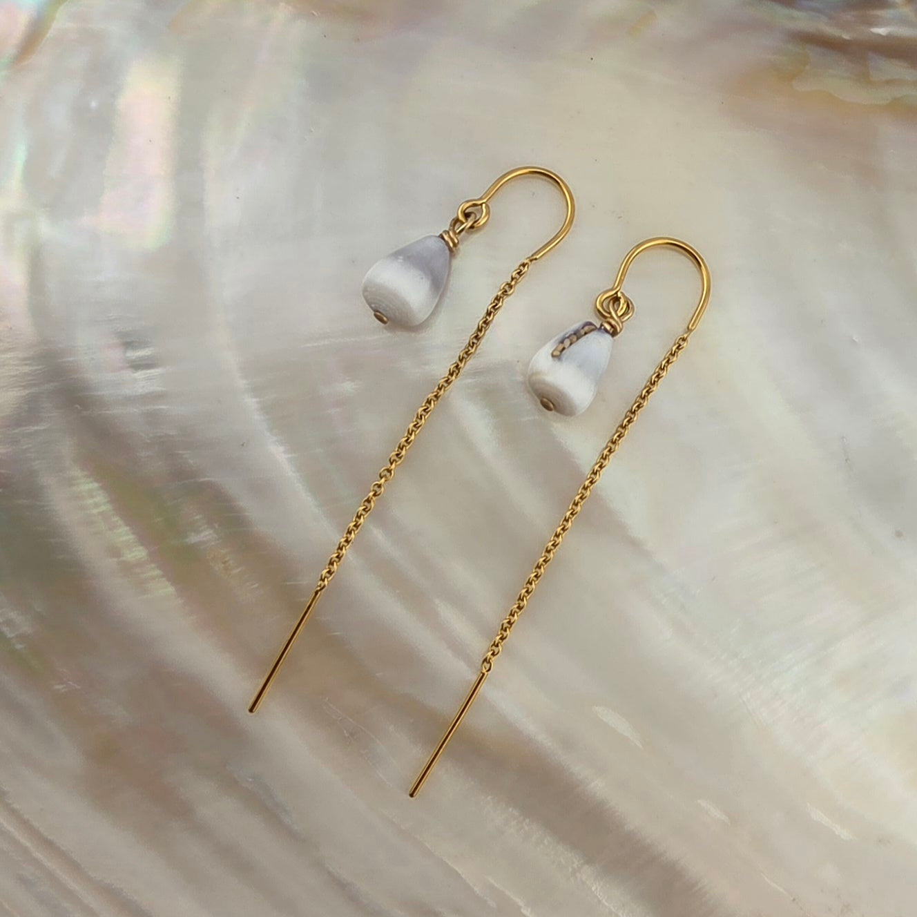 Tiny Hawaiian Cone Shell Earrings