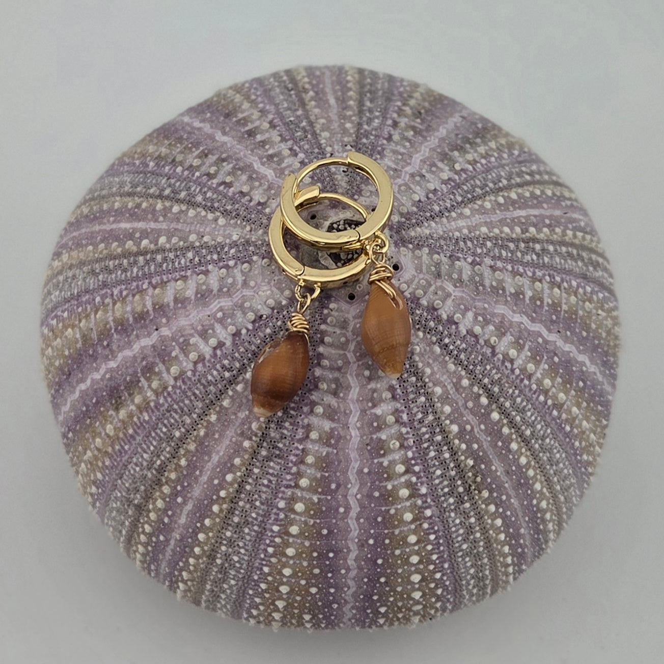 Brown Miter Shell Earrings