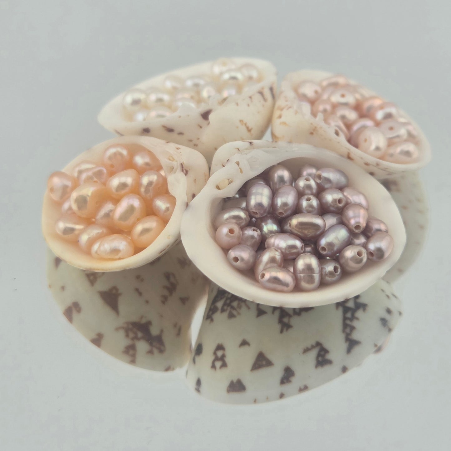 Tiger Shark Teeth Earrings with Peach Peals