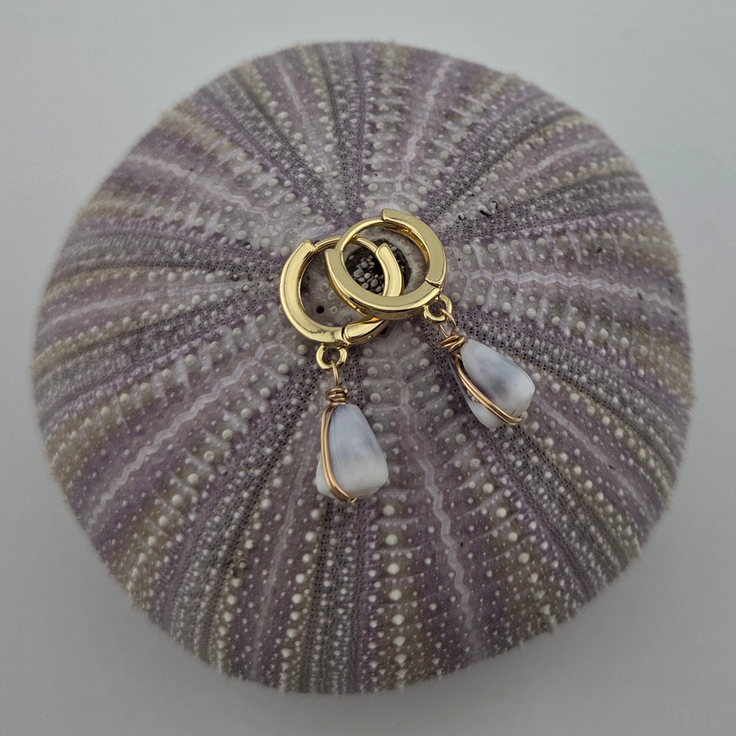 Tiny Hawaiian Cone Shell Earrings