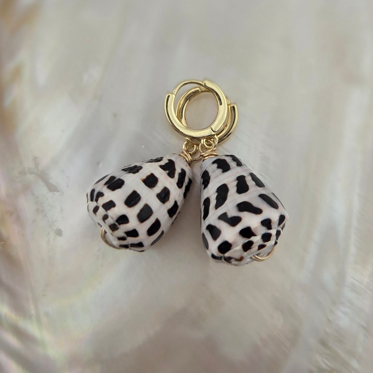 Hebrew Cone Shell Earrings