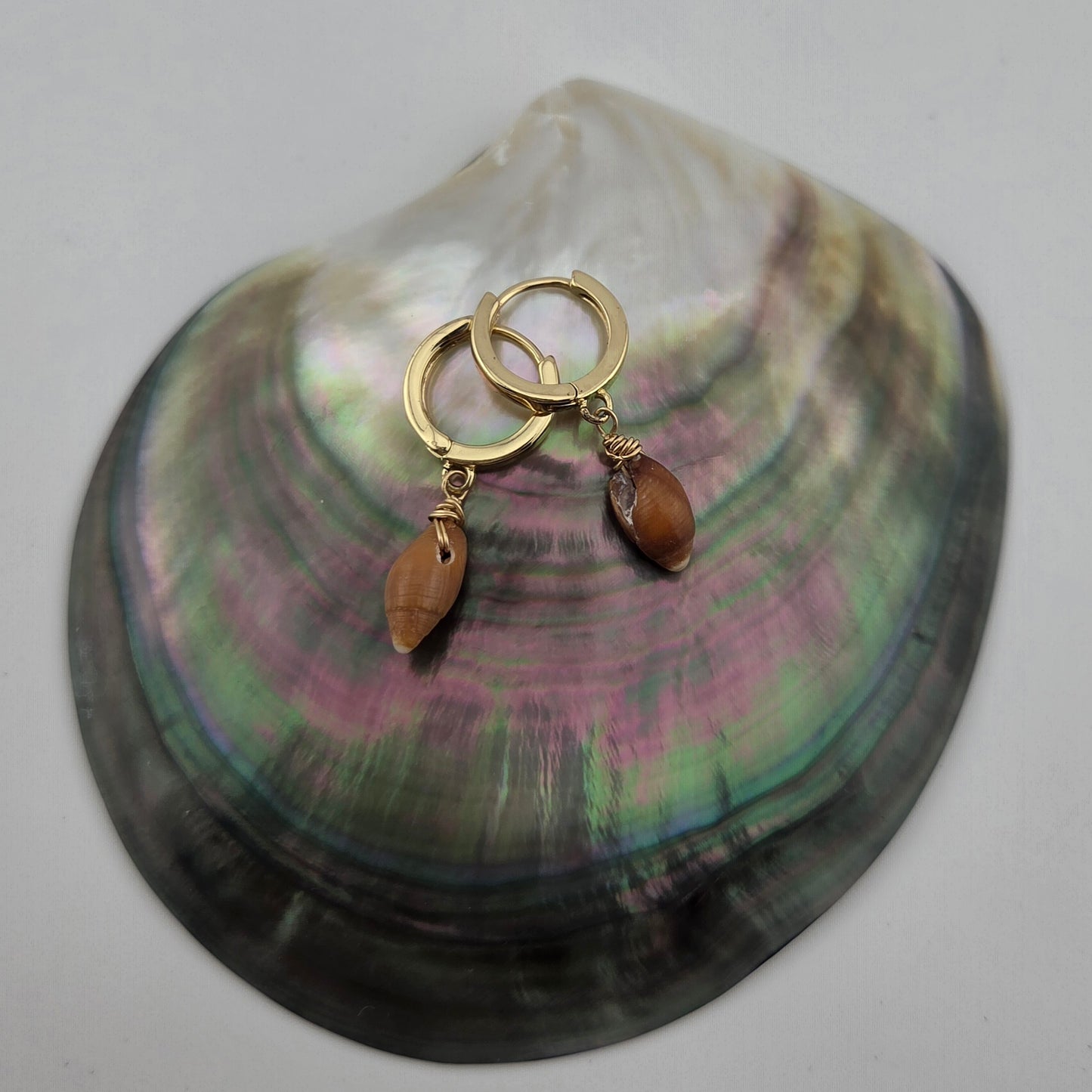 Brown Miter Shell Earrings