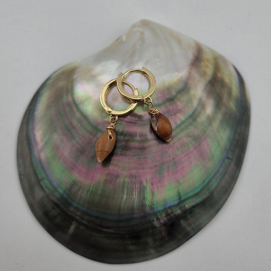 Brown Miter Shell Earrings