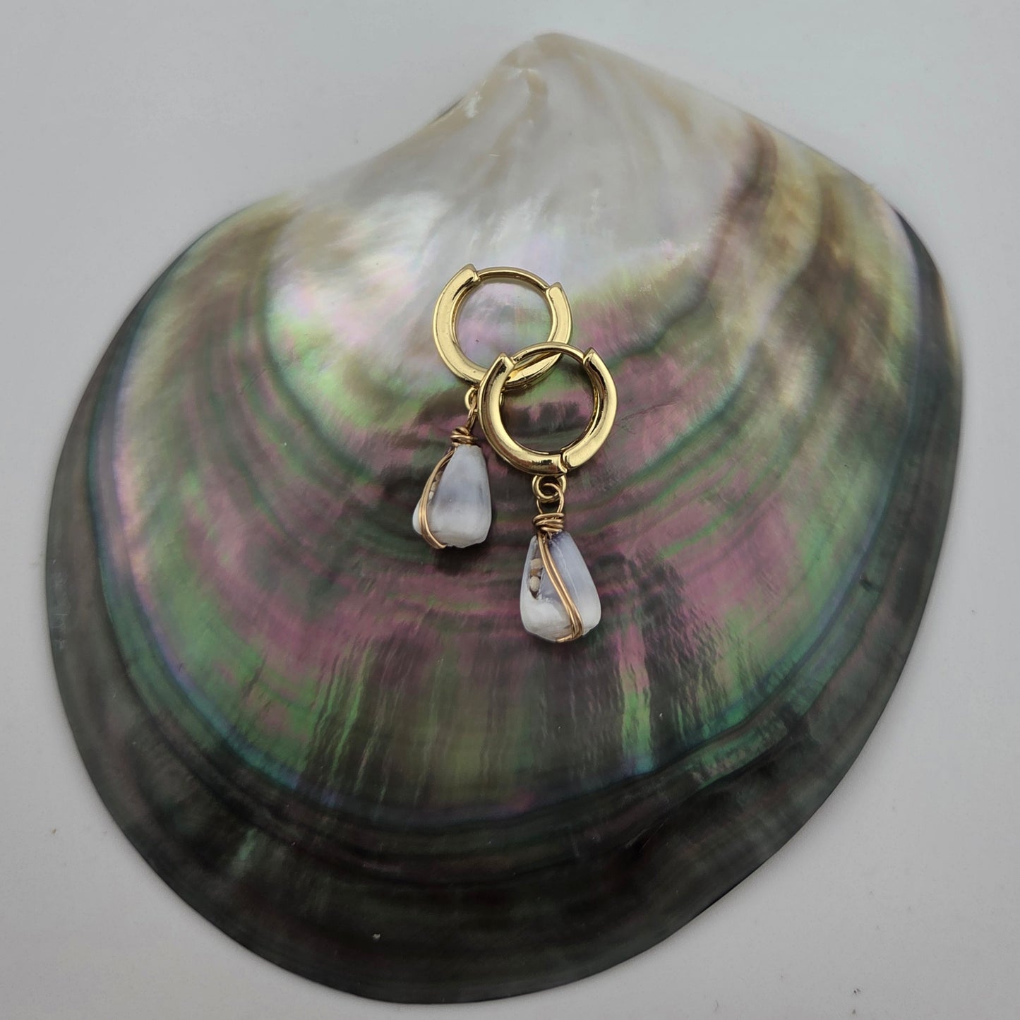 Tiny Hawaiian Cone Shell Earrings