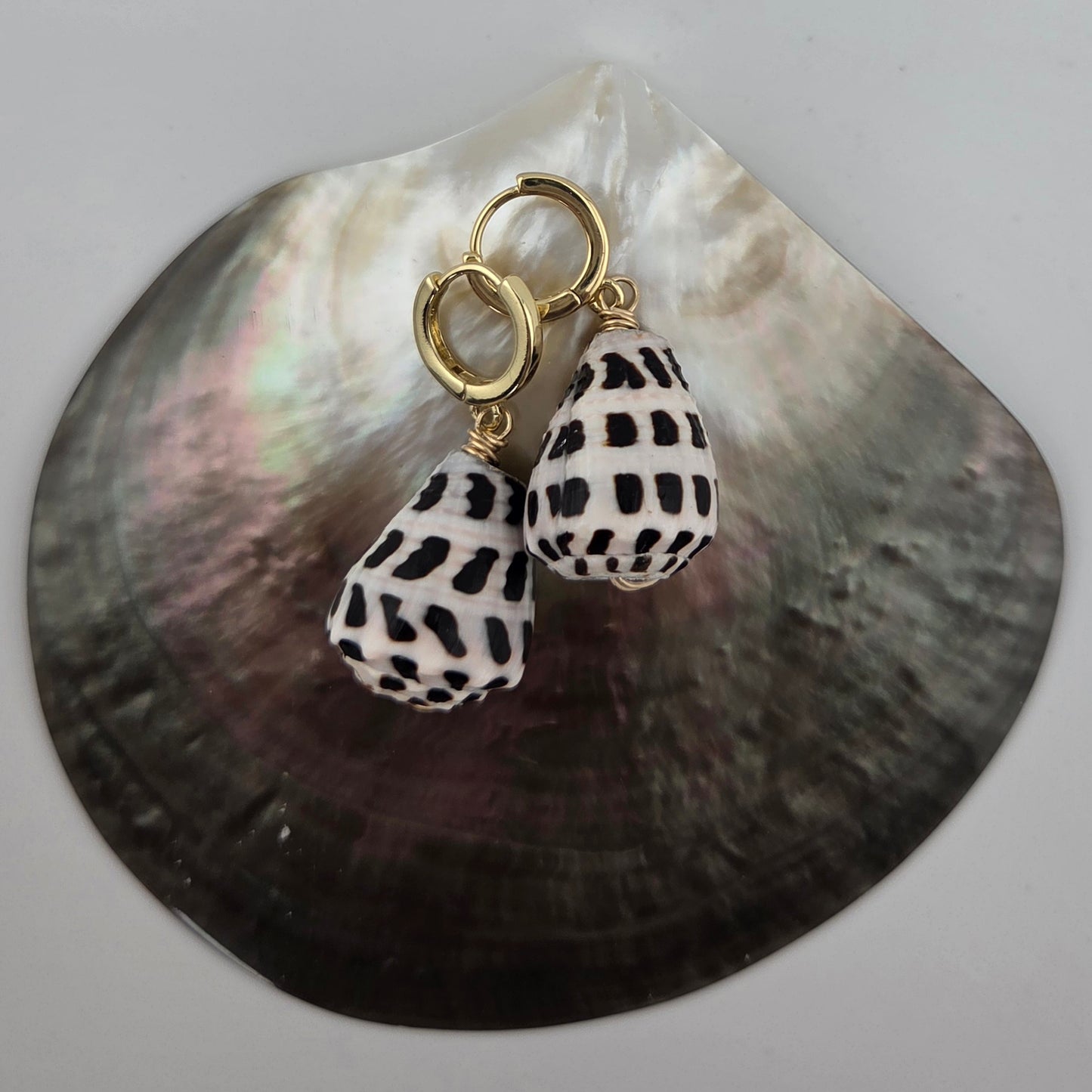 Hebrew Cone Shell Earrings