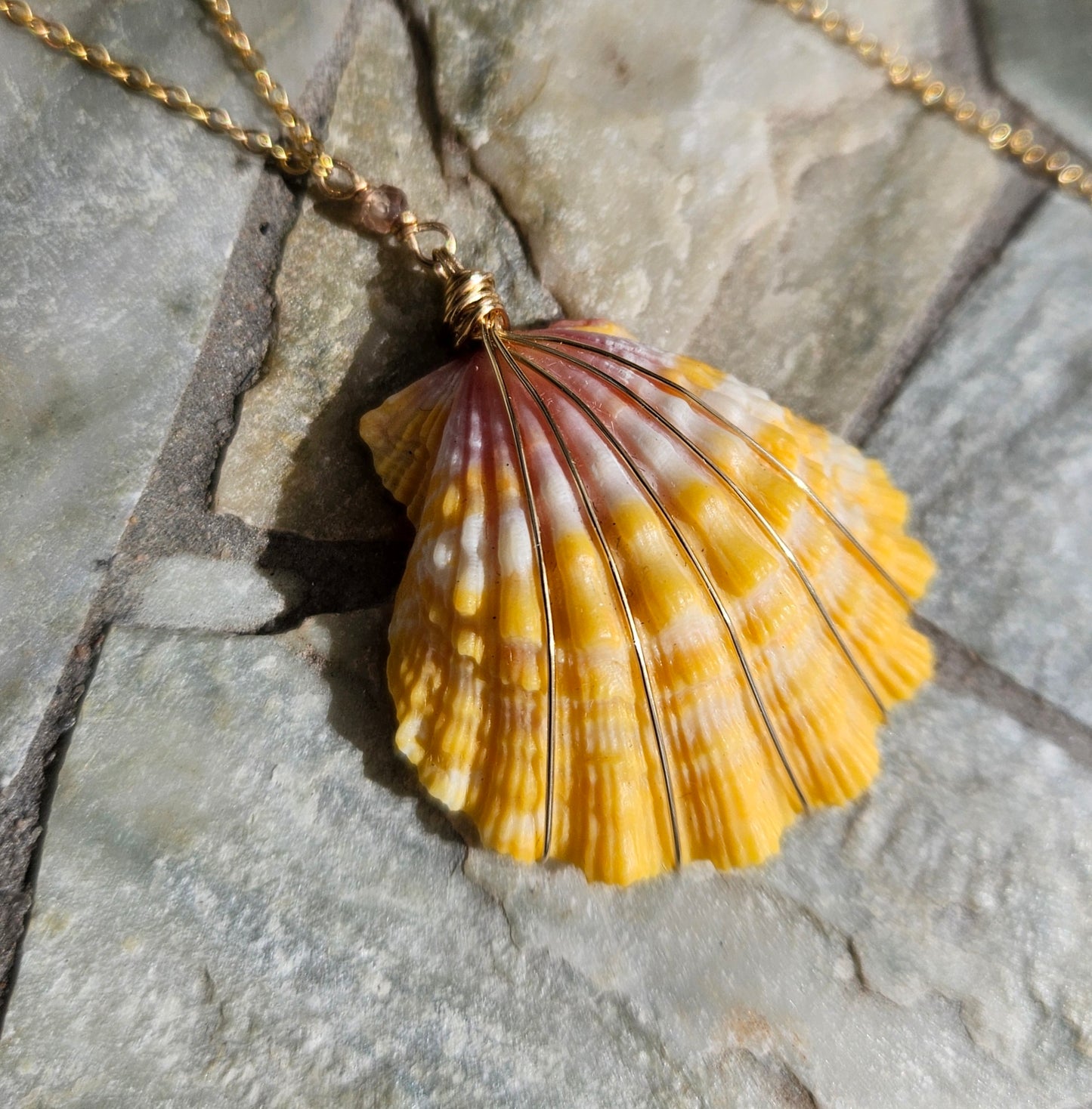 Sunrise Shell Necklace